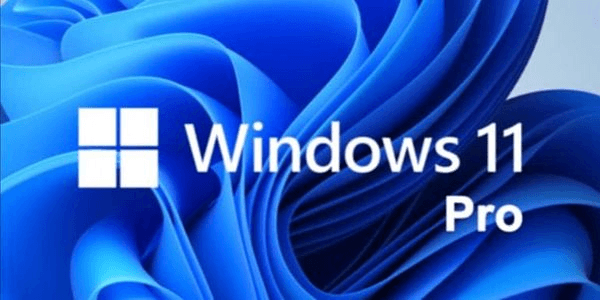 Gambar Product Windows 11 Professional