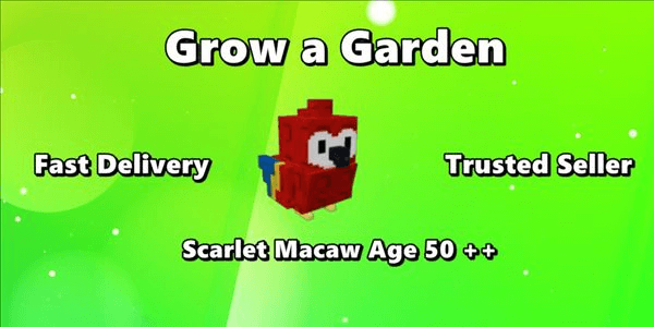 Gambar Product Scarlet Macaw Age 50 ++ Ready For Mutation