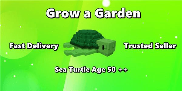 Gambar Product Sea Turtle Age 50 ++ Ready For Mutation