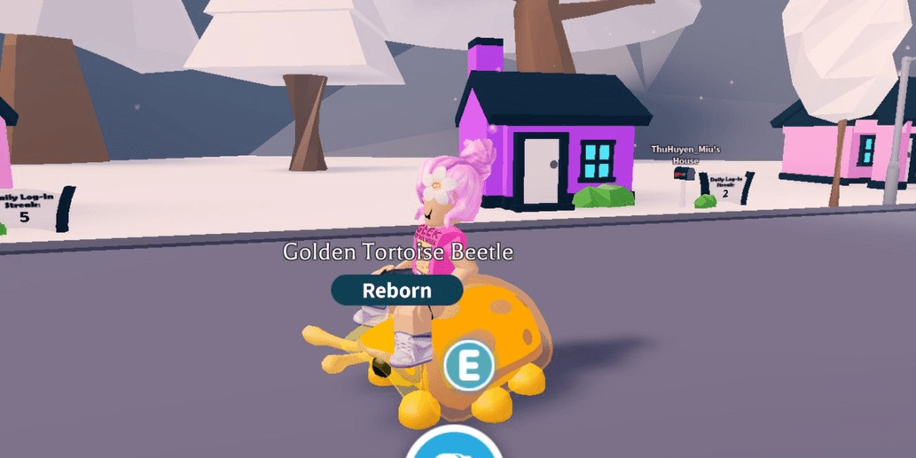 Product Showcase