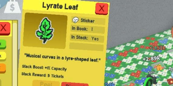 Gambar Product Lyrate Leaf