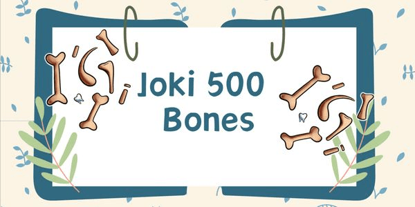 Gambar Product Bone