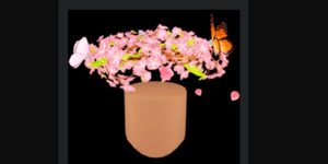 Spring Halo 2020
