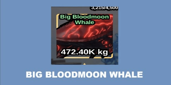 Gambar Product Big Bloodmoon Whale