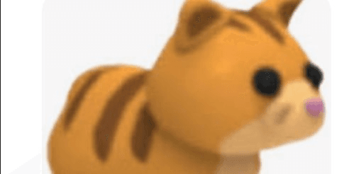 Gambar Product Ginger Cat