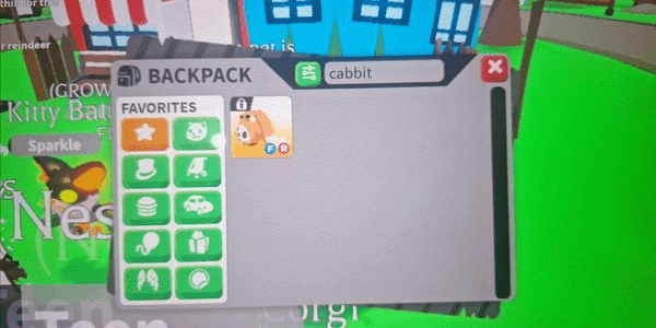 Gambar Product RF Cabbit
