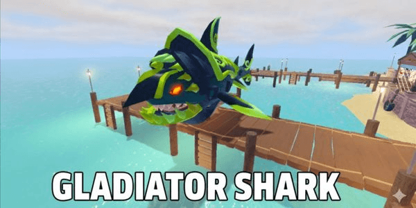 Gambar Product Gladiator Shark