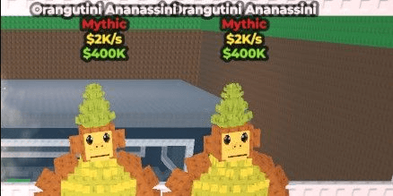 Product Showcase