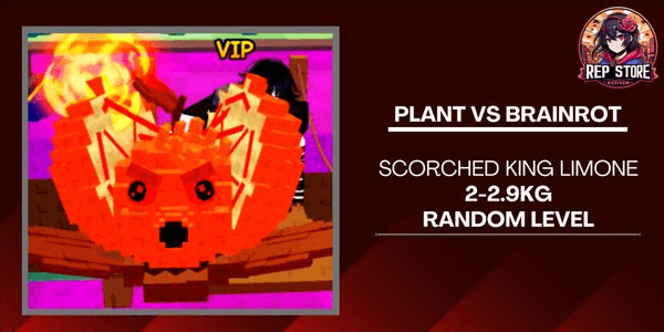 Gambar Product Scorched King Limone