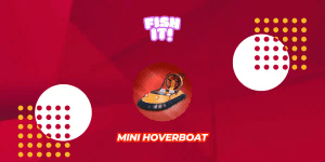 Mini Hoverboat