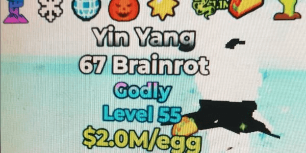 Gambar Product YinYang 67 2M/s Level 50