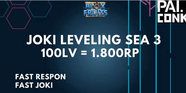 Gambar Product Leveling 3rd Sea