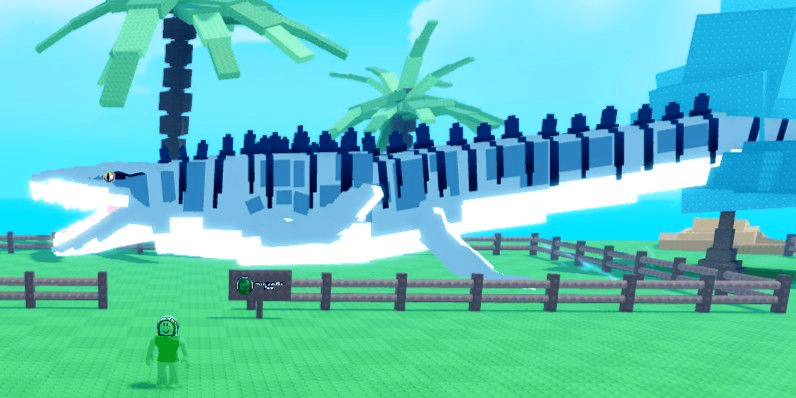 Product Showcase