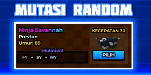 Savannah Ninja