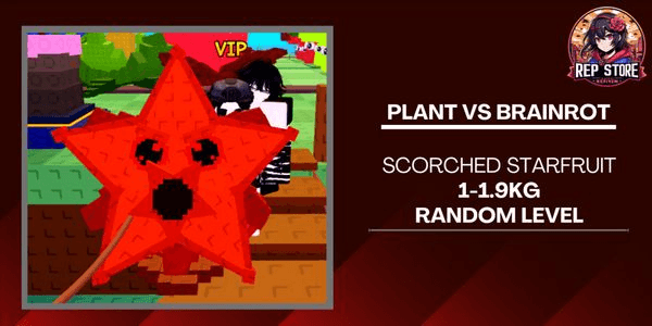 Gambar Product Scorched Starfruit