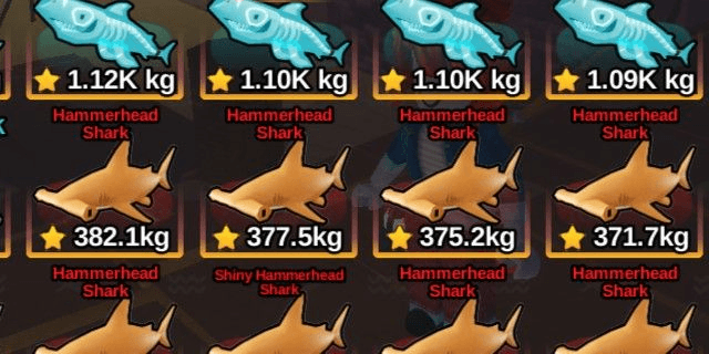 Product Showcase