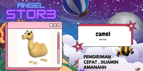 Gambar Product Camel