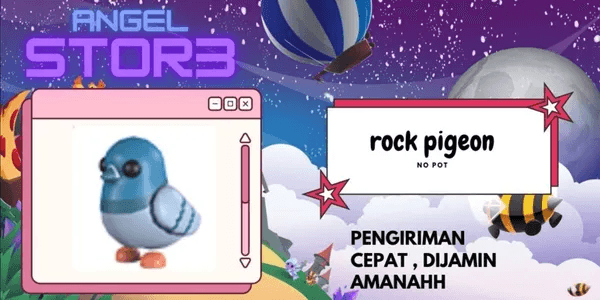 Rock Pigeon