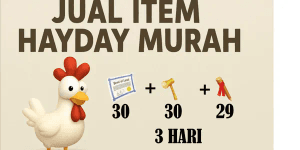 3-DAY LAND UPGRADE PACKAGE