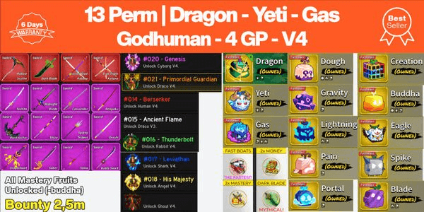 Gambar Product Akun Fruit Permanent - No 10 - Blox Fruits