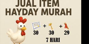 7-DAY LAND UPGRADE PACKAGE