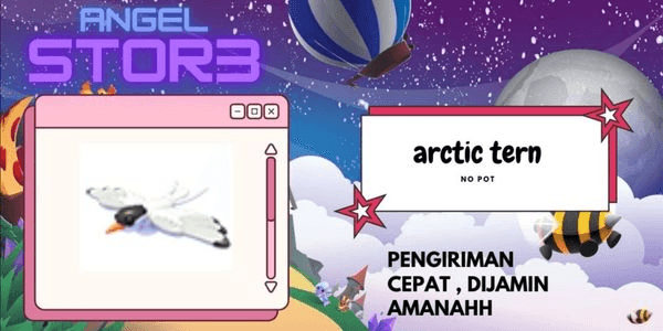Gambar Product Arctic Tern