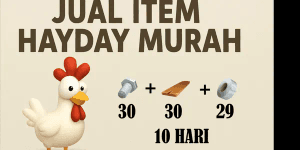 BARN/SHED UPGRADE PACKAGE 10 DAYS