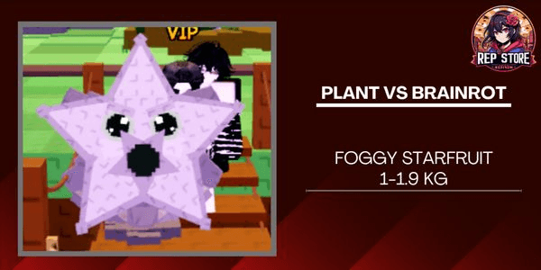 Gambar Product Foggy Starfruit