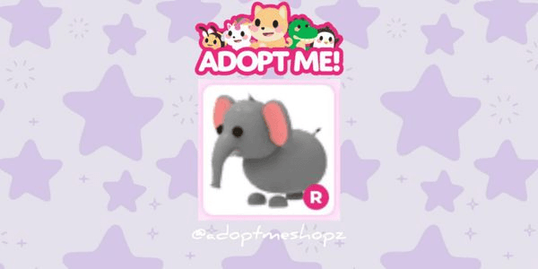 Gambar Product Elephant