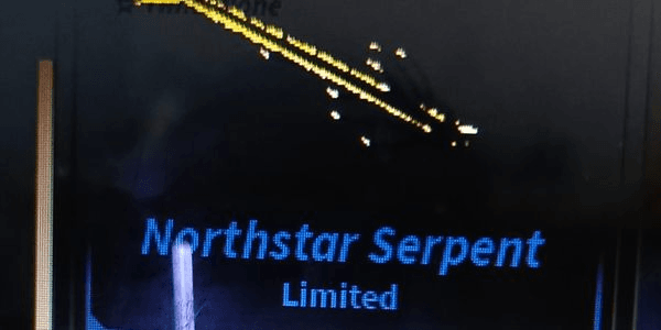 Gambar Product ALBINO NORTHSTAR SERPENTS