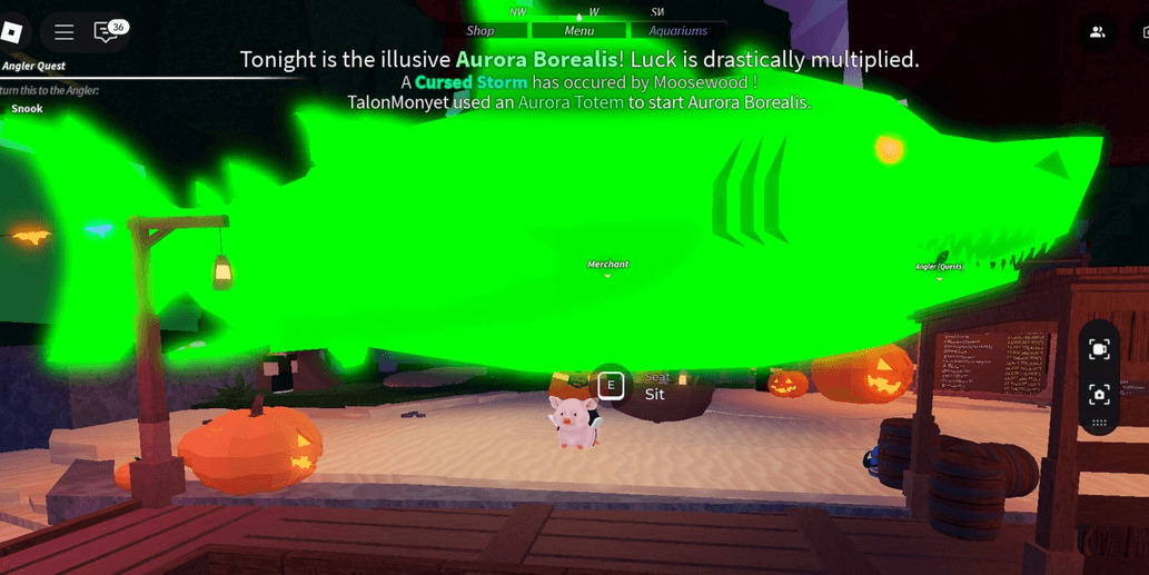 Product Showcase