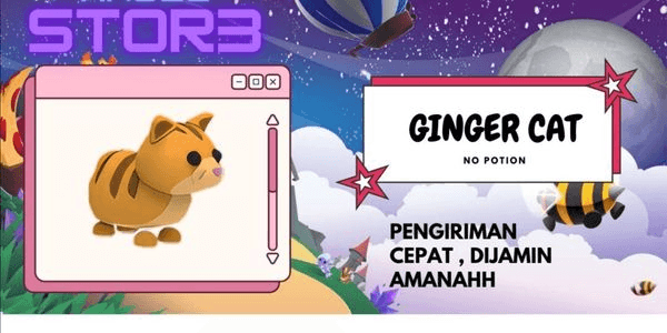 Gambar Product Ginger Cat
