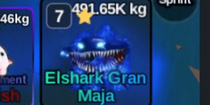 Gambar Product ELSHARK GRAND MAJA