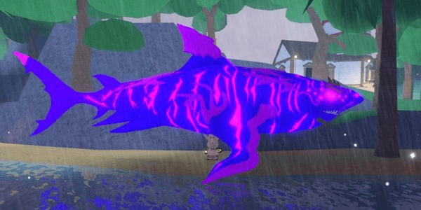 Gambar Product Plasma Shark