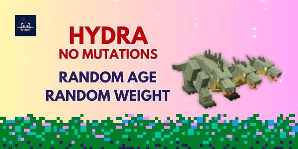 Gambar Product Hydra