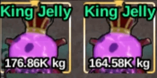 Jelly King