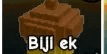 Acorn / Biji ek + Bonus!!