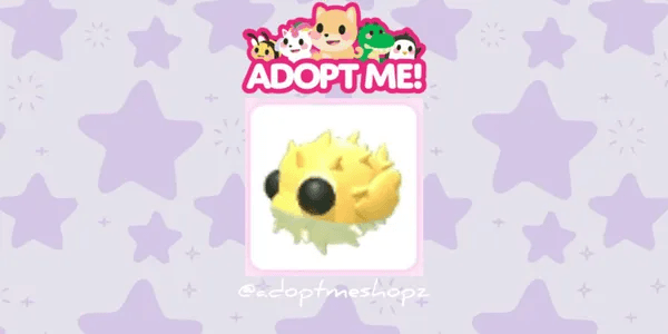 Puffer Fish