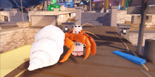 Gambar Product Hermit Crab