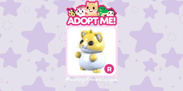 Gambar Product Golden Hamster