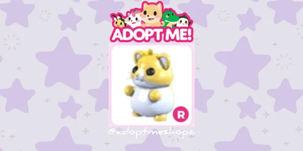 Golden Hamster