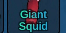 Gambar Product Giant Squid
