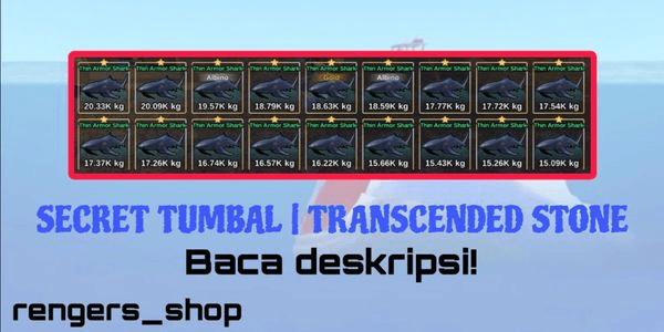 Gambar Product Transcended Stone