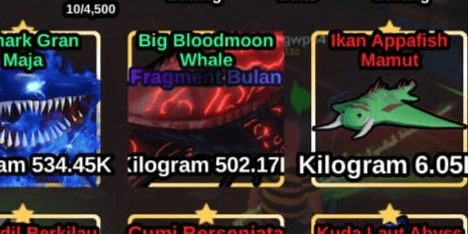Gambar Product Big Bloodmoon Whale