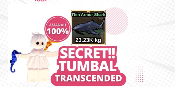 Gambar Product Transcended Stone