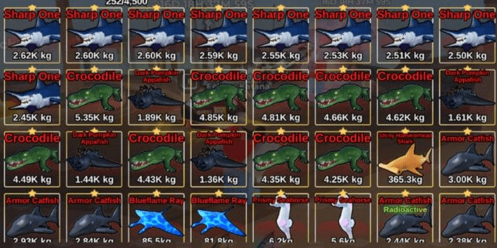 Product Showcase