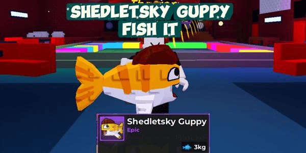 Gambar Product SHEDLETSKY GUPPY - FISH IT!