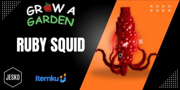 Gambar Product Ruby Squid