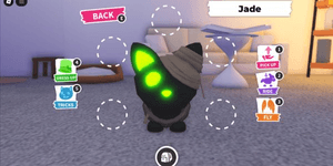 Halloween Black Mummy Cat N (Uncommon) Adopt Me - AdoptmeStore14