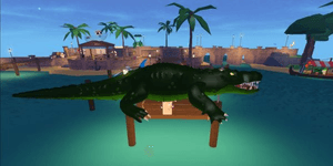 Crocodile